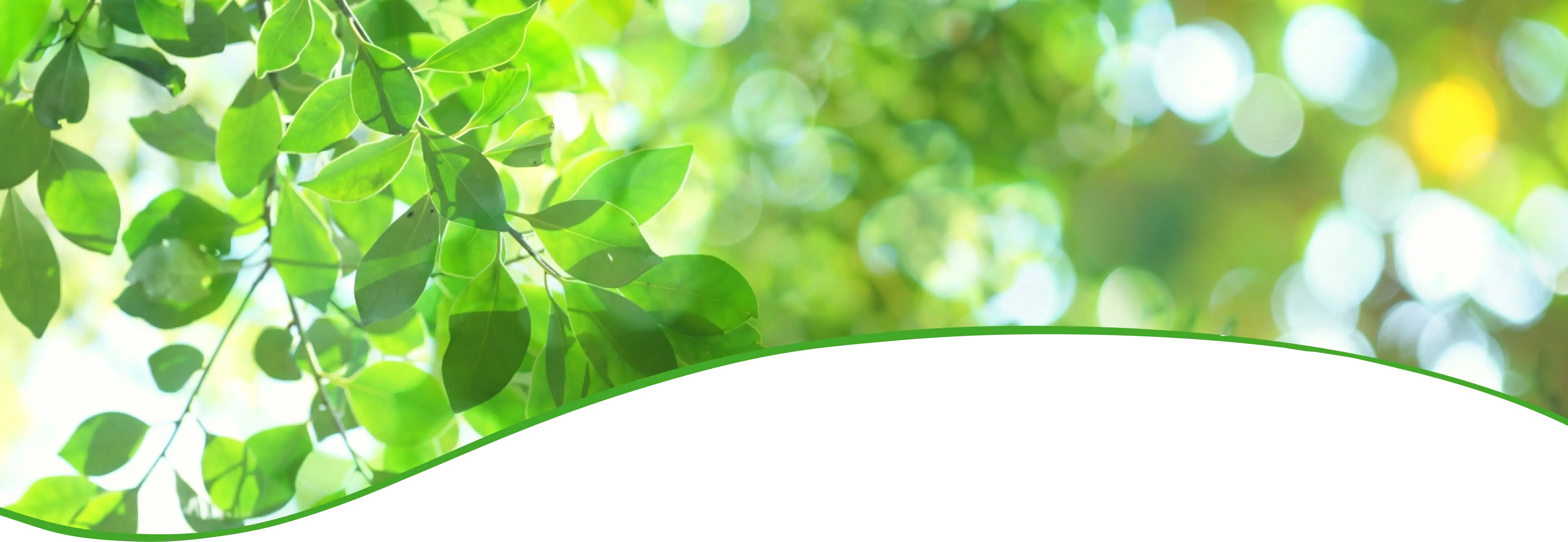 プライバシーポリシー